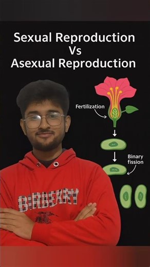 Sexual Reproduction Vs Asexual Reproduction | Complete Comparison with Diagrams | Biology