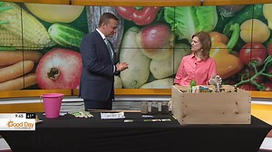 Easy Spring planting with kids