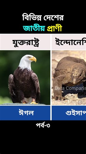 Comparing Distinct Animals in Unique Habitats