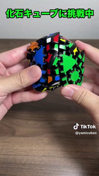 娘とチャレンジする難解パズル！