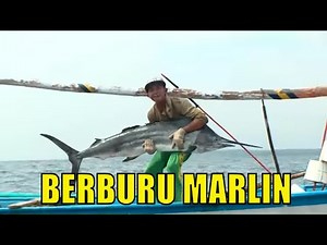 BERBURU MARLIN | MANCING MANIA (06/02/21)