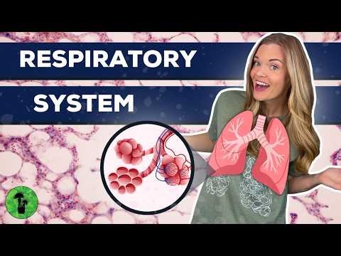 Respiratory System | Respiration