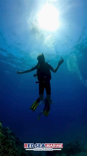 Red Sea in Sharm El Sheikh - a rare combination of geology, oceanography, and biology
