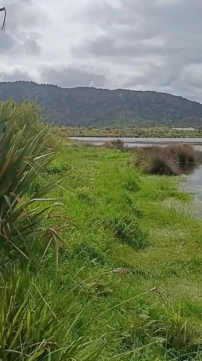 Māwhero, Greymouth, Grey District ! This shout out is for you! Can...