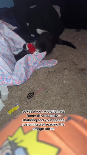 Understanding Addiction Through Humor