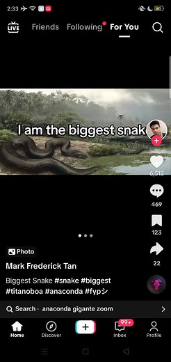 Explore the Titanoboa: The Biggest Snake on Earth