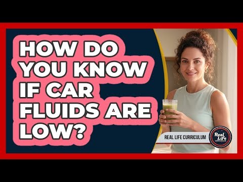 How Do You Know If Car Fluids Are Low?