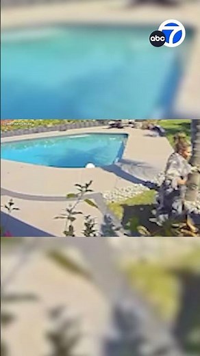 Coyote snatches Tommy Lee's dog in backyard