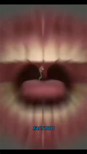 FactInfo on Instagram: "What Is Uvula"