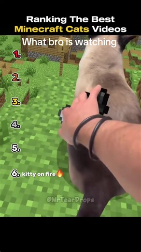 #Meme #MemeCut #minecraft #fyp #viral