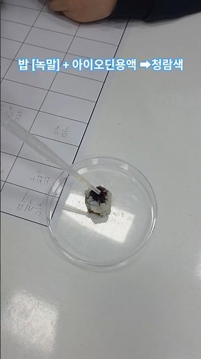 Rice [Starch] + Iodine Solution ➡️ Blue ㅡ Nutrient Detection Experiment