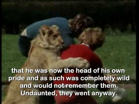 Christian the Lion - the full story (in HQ) [minus 20 million views!!]