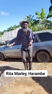 12K views · 271 reactions | Reggae music , Rita Marley, positive message , Harambe | Rhythm of Africa | Facebook