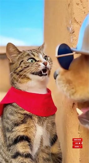 A Tiny Firecracker Creates Big Laughter | TGM Animal Guardian Stories #funnypettv #funny #pets