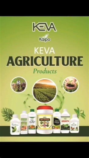115 reactions · 7 comments | Keva Agriculture Product Range. . . . #keva #agriculture_global #agricultureproducts #farmermarket #green #kevakaipoindustries #networkmarketing | Keva Kaipo Industries Pvt Ltd | Facebook