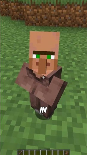 The Secret Difference Between Villagers in Java vs Bedrock!