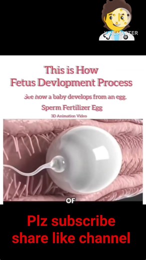 fertilisation animation #shortsfeed #youtubeshorts #shorts