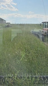 54K views · 530 reactions | Haying season is here. Haying right into harvest. Busy month ahead on our farm. #farm #ranching #cow | 1HandnFarming | Facebook