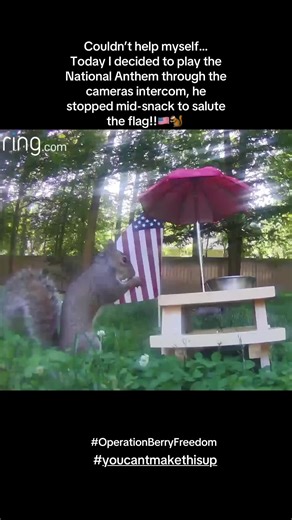 Squirrel Salutes the Flag with National Anthem