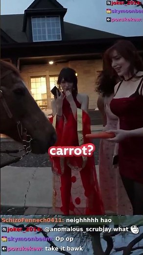 I Fed A Horse 🐎