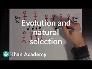 Evolution and natural selection | Biomolecules | MCAT | Khan Academy Video Lecture