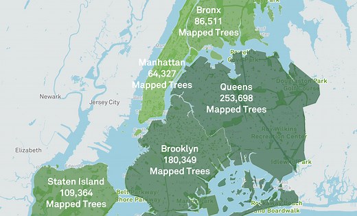 An Interactive Map That Shows All the Public Trees in Each Neighborhood of New York City's Five Boroughs