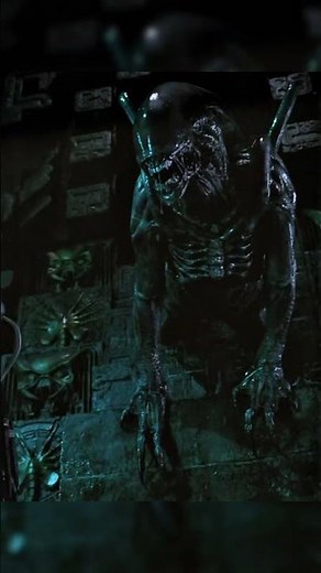 Хищник уничтожает Чужого #кино #топ #фильмы #хищник