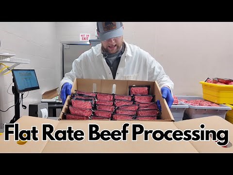 Revolutionizing Beef Processing: Flat Rate $750 USDA Processing at Parker County Beef Company