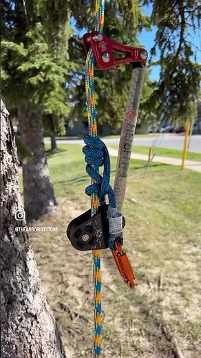 SRS Kit Spotlight 🌲🔥 | Sleek, Strong & Ready to Climb | The Arborist Store