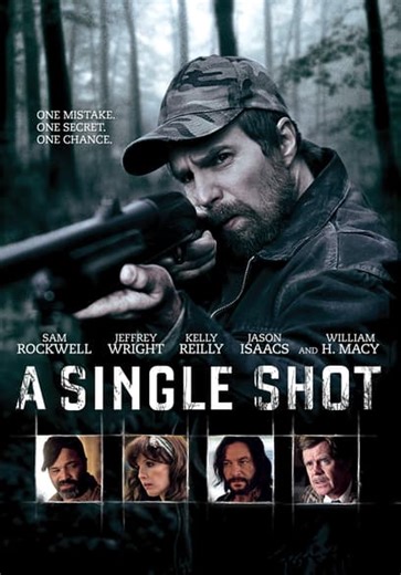 A Single Shot (2013)
