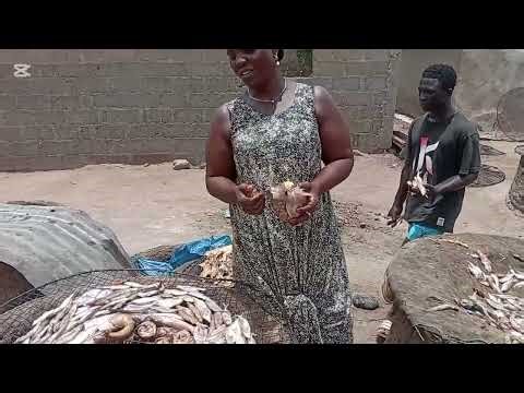 My interactions with a local fish processor in Adamawa State