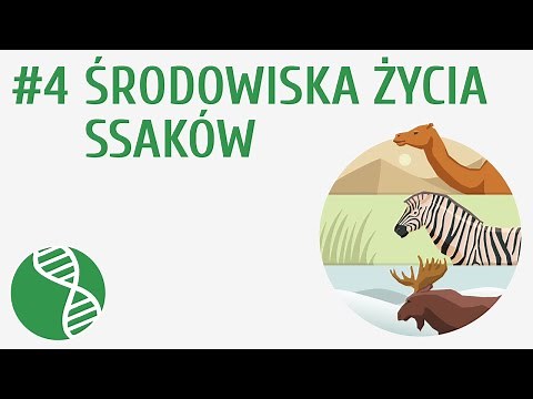 Środowiska życia ssaków #4 [ Ssaki ]