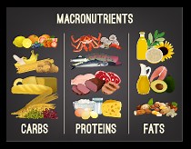 What are the 3 macronutrients and why are they important? [2025] | QAQooking.wiki