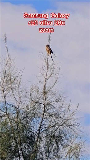 Samsung Galaxy S26ultra 20x zoom ♥️🫢#Samsung s26ultra #newmobile #2026 #samsung #zoomtest