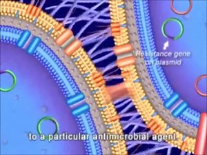 37K views · 612 reactions | Exchange of genetic material: Conjugation, transformation and transduction... | All About Molecular Biology | Facebook