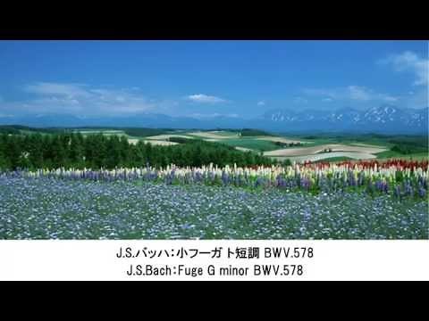 Tears? Beautiful Classical Music Collection(BGM for studying and concentration)