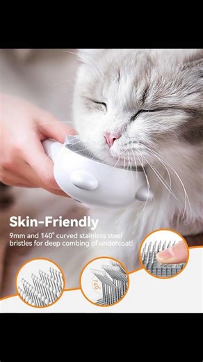 Unlock Your Cat's Genius with the Whisker Wizard Toy!