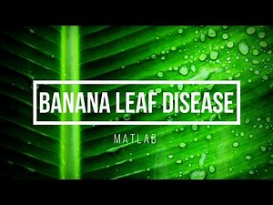 Banana Leaf Disease detection using Deep Learning - Matlab