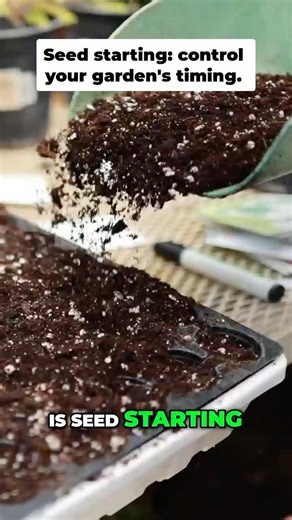 Seed Starting Boosts Your Homestead Self-Sufficiency