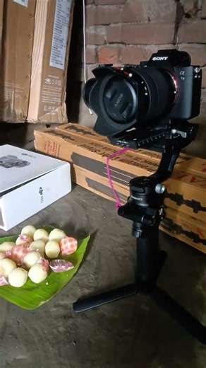 Sony A7III + DJI Ronin SC Cinematic Setup 🔥 Smooth Video Test