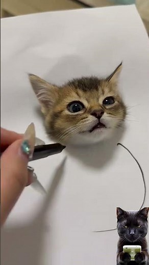 How to Draw a 3D Cat – Easy & Amazing! 🐱✨#cat #shorts