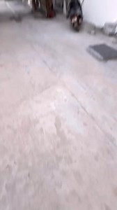 13K views · 129 reactions | contact 9535583559 location...