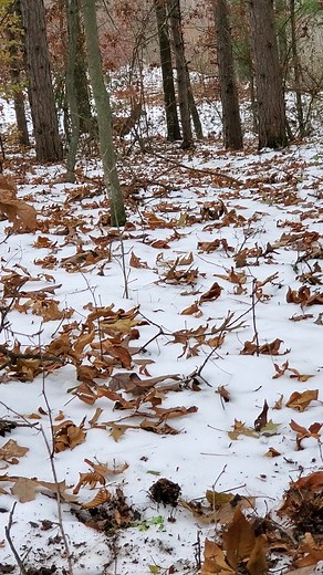 1.4K views · 19 reactions | Overkill Outdoors on Reels | Facebook