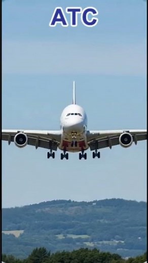 Pilot Declares MAYDAY… Because He Spilled His Coffee ☕😱