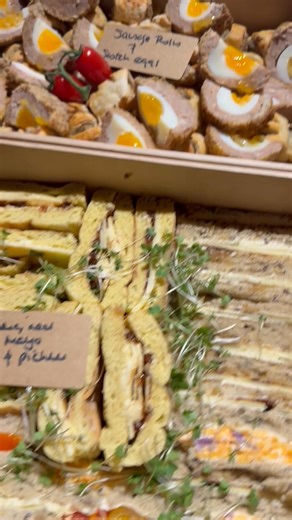 2.7K views · 28 reactions | Hello Treacle on Reels | Facebook