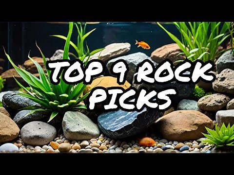 Aquarium Rocks: The 9 Best (and Coolest) Options