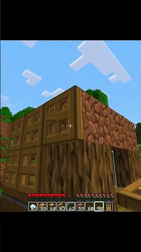 When I Make Small House(World's Smallest Violin) #minecraft #shorts