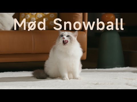 Aqua10 Ultra Roller: AutoSeal™ Rullebeskytter – Våd- og tørseparation for tæpper | Støvsugerrobot