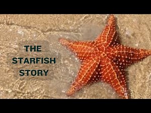 The Starfish Story For Kids. A Lesson In Empathy.