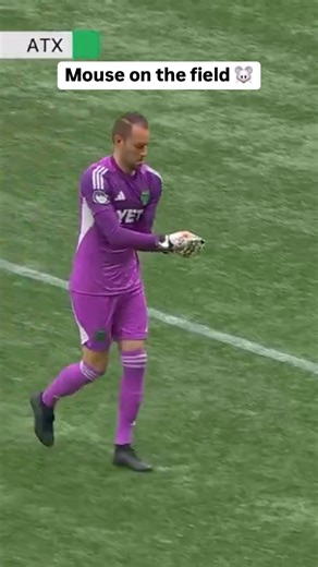 246K views · 16K reactions | Austin FC keeper Brad Stuver rescued a mouse on the field  (via @mls on Apple TV) | ESPN FC | Facebook